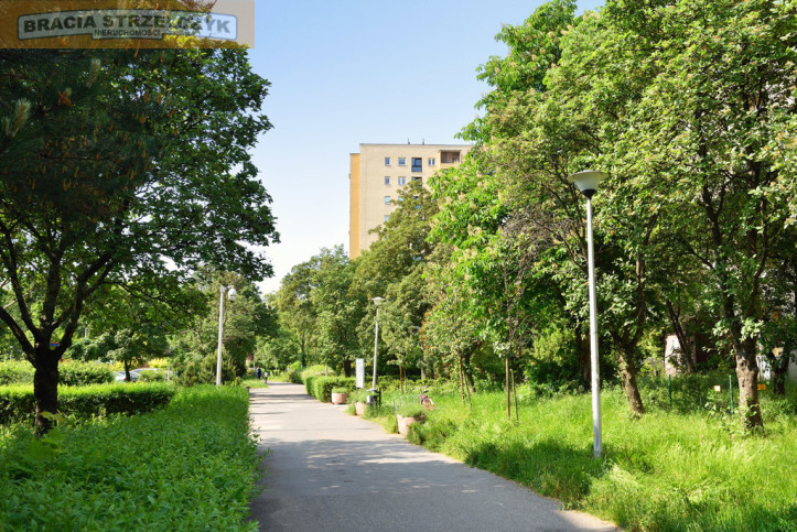 Mieszkanie Wynajem  Mokotów Korczyńska 10